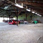 Project